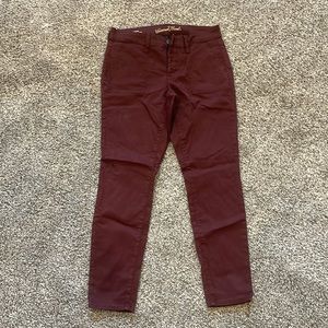 Universal thread maroon pant